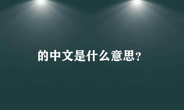 的中文是什么意思？