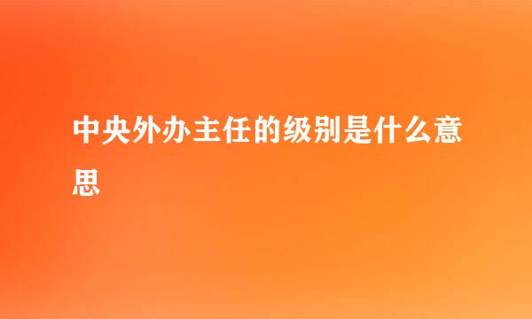 中央外办主任的级别是什么意思