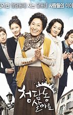 求《住在清潭洞(2011)》百度云免费在线观看，金惠子主演的