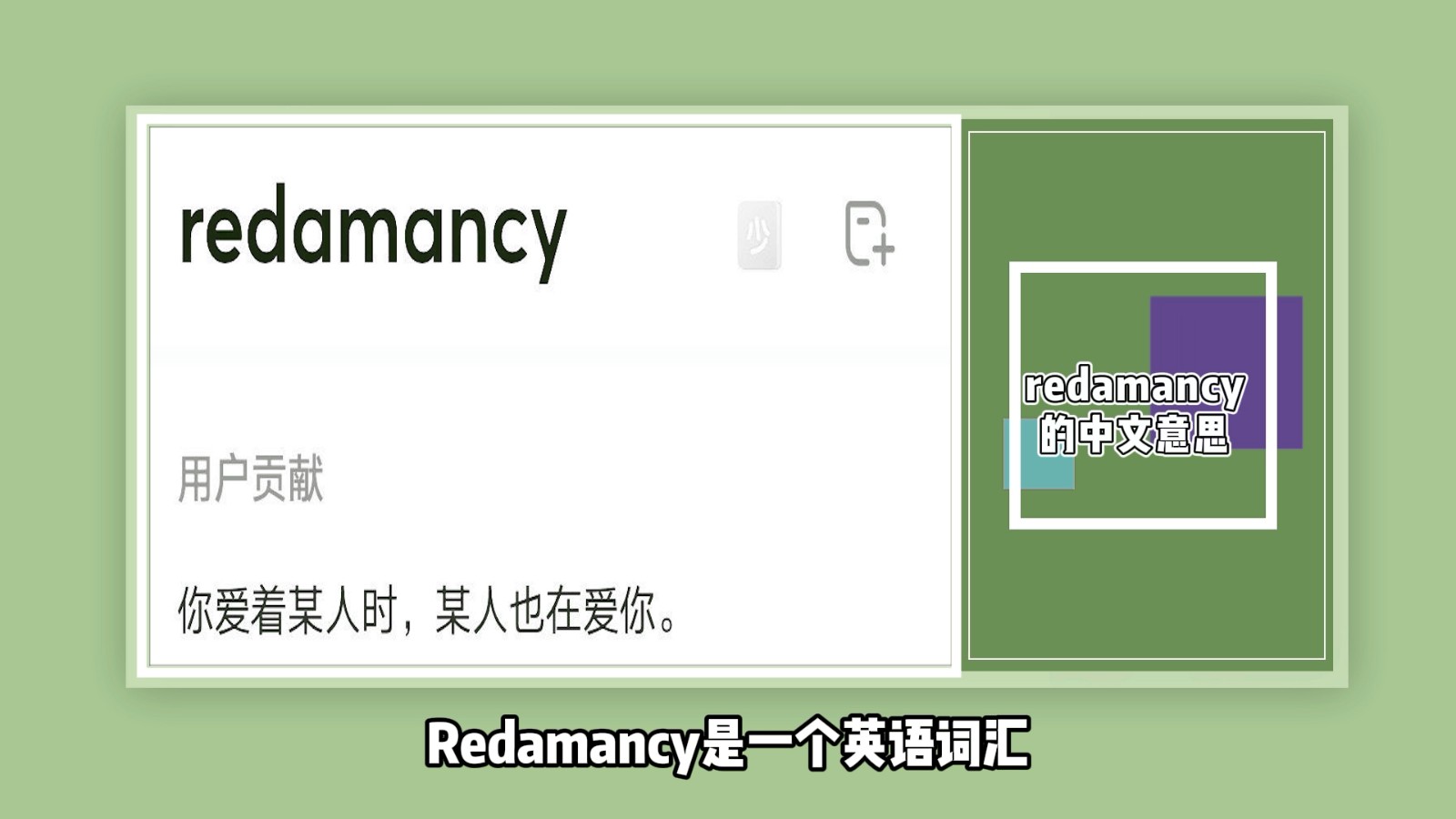 redamancy的中文意思？