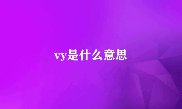 vy是什么意思