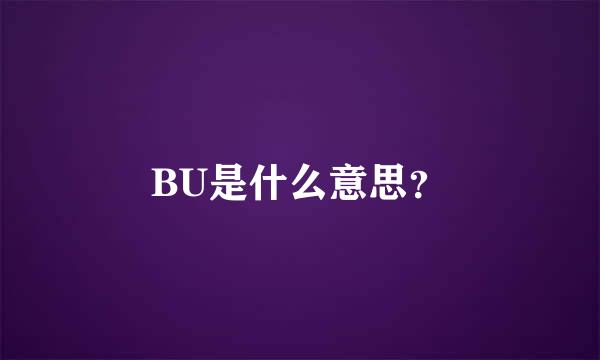 BU是什么意思？