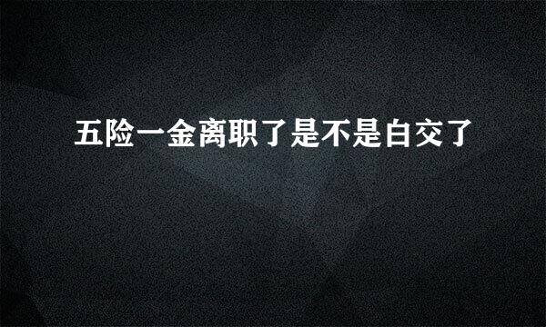 五险一金离职了是不是白交了