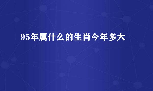 95年属什么的生肖今年多大