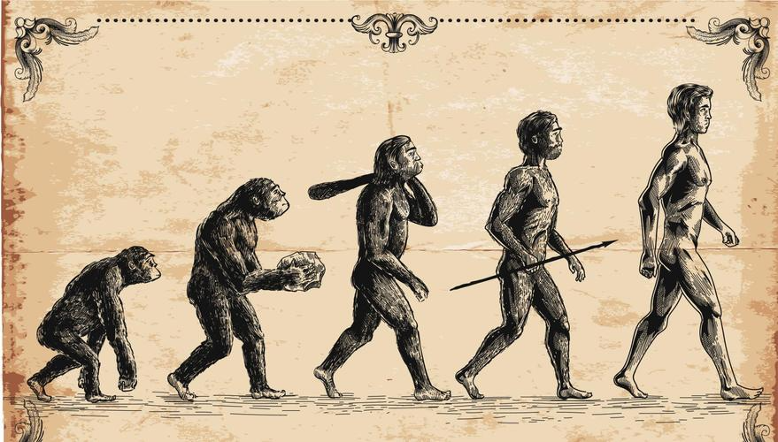 人类的祖先是谁呀？