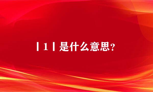 丨1丨是什么意思？