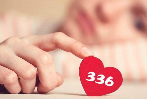 336代表数字爱情是什么