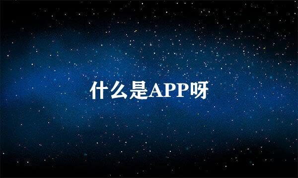 什么是APP呀