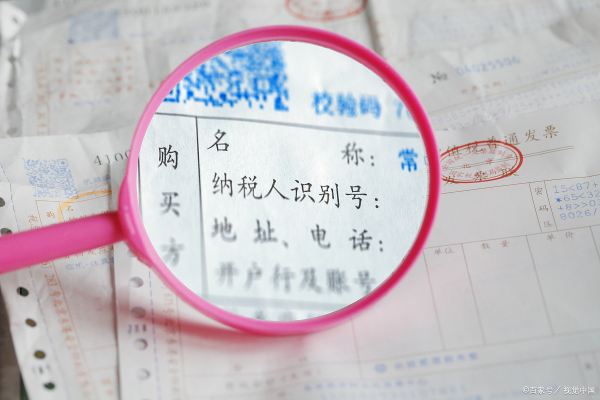 怎么查询自己的纳税人识别号