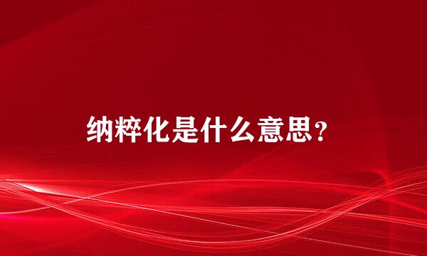 纳粹化是什么意思？