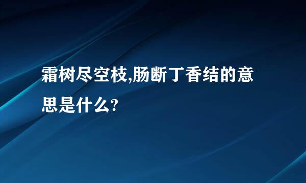 霜树尽空枝,肠断丁香结的意思是什么?