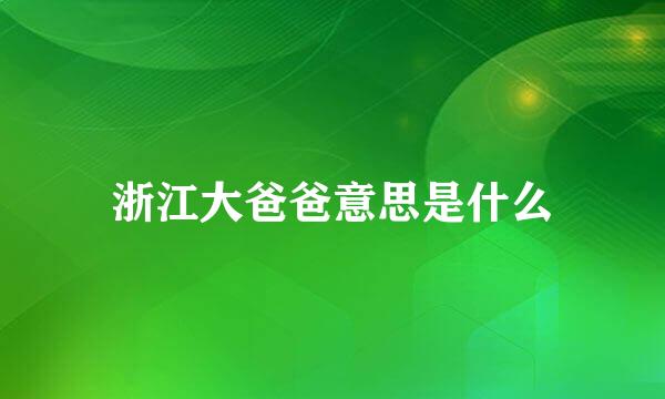 浙江大爸爸意思是什么