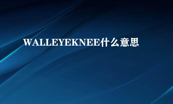 WALLEYEKNEE什么意思