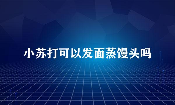 小苏打可以发面蒸馒头吗