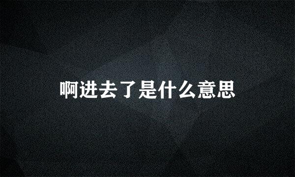 啊进去了是什么意思