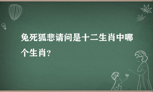 兔死狐悲请问是十二生肖中哪个生肖？