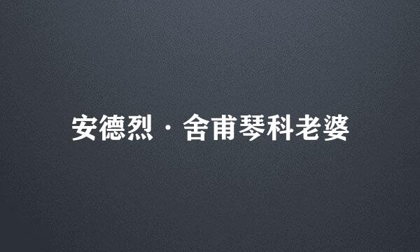 安德烈·舍甫琴科老婆