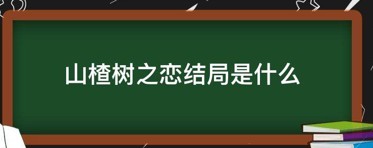 山楂树之恋结局是什么