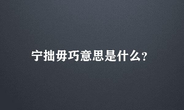 宁拙毋巧意思是什么？