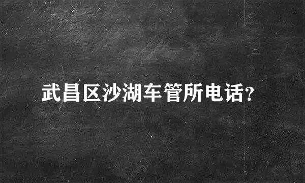 武昌区沙湖车管所电话？