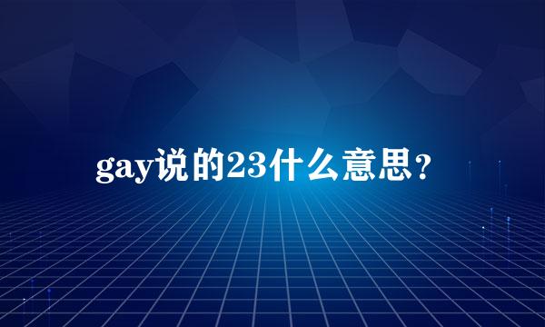 gay说的23什么意思？