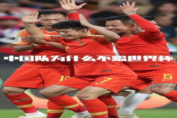 中国怎么不申办世界杯