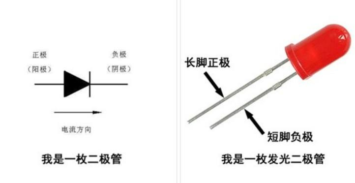 发光二极管正负极