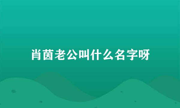 肖茵老公叫什么名字呀