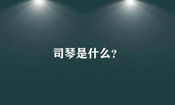 司琴是什么？