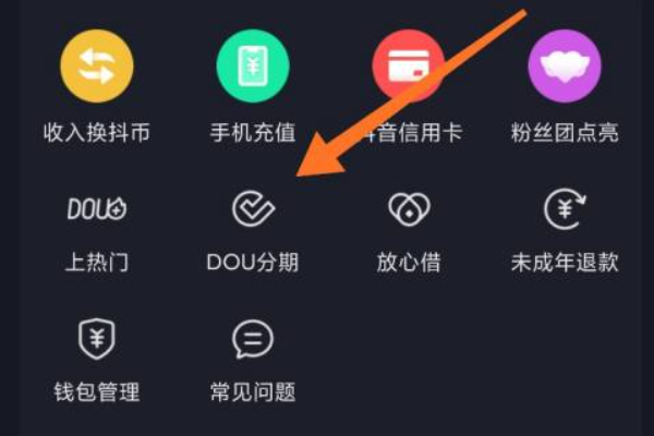 dou分期是什么意思？