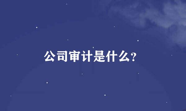 公司审计是什么？