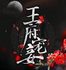 《王府宠妾》txt下载在线阅读全文，求百度网盘云资源