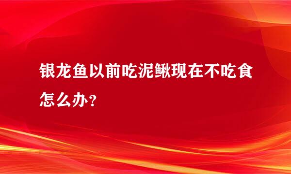 银龙鱼以前吃泥鳅现在不吃食怎么办？