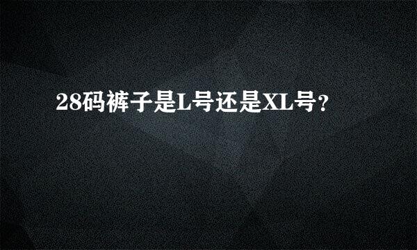 28码裤子是L号还是XL号？