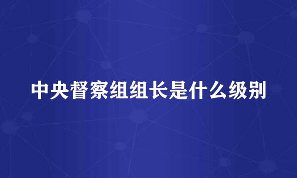 中央督察组组长是什么级别