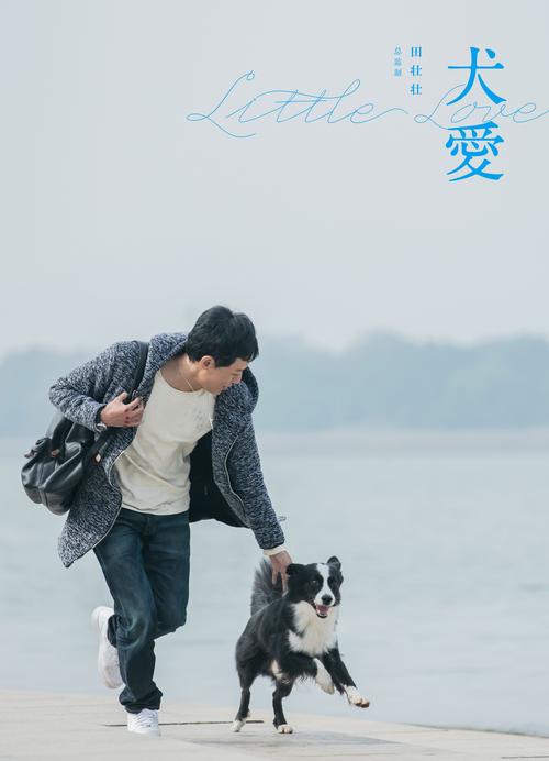 求《犬爱2019》百度网盘免费在线观看，杨洋导演的