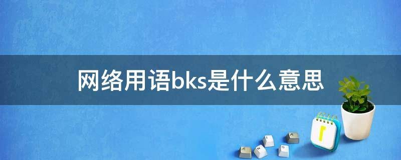 bks什么梗