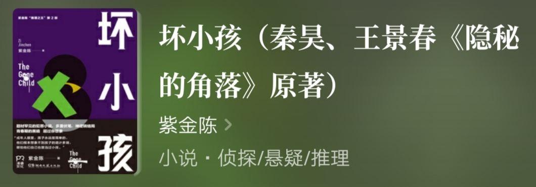 《隐秘的角落[坏小孩]》txt下载在线阅读全文，求百度网盘云资源