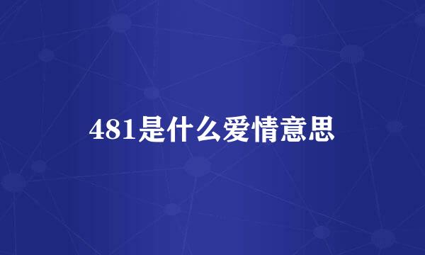 481是什么爱情意思