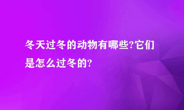 冬天过冬的动物有哪些?它们是怎么过冬的?