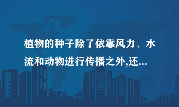 植物的种子除了依靠风力、水流和动物进行传播之外,还有哪些方式传播