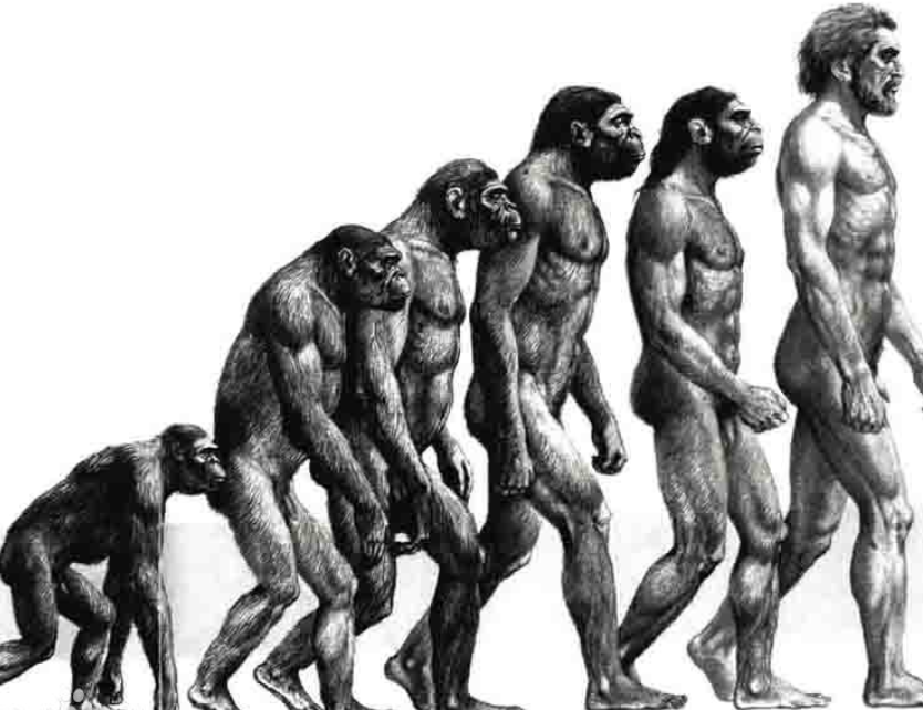 人类的祖先是什么动物？