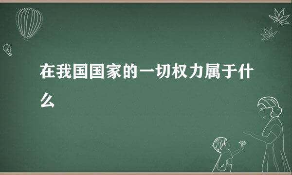 在我国国家的一切权力属于什么