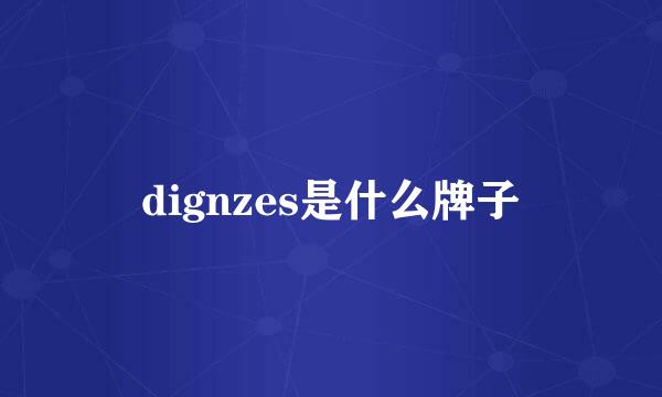 dignzes是什么牌子