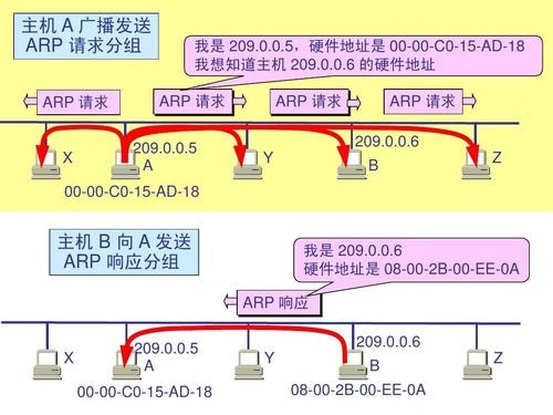 什么是ARP？