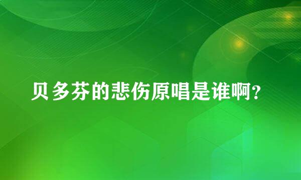 贝多芬的悲伤原唱是谁啊？