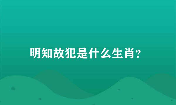 明知故犯是什么生肖？