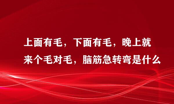 上面有毛，下面有毛，晚上就来个毛对毛，脑筋急转弯是什么