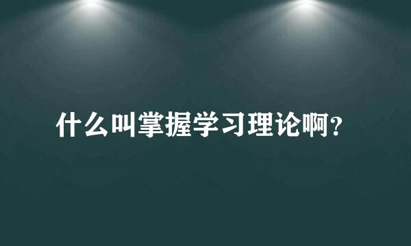 什么叫掌握学习理论啊？