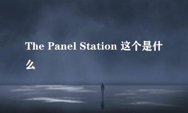 The Panel Station 这个是什么